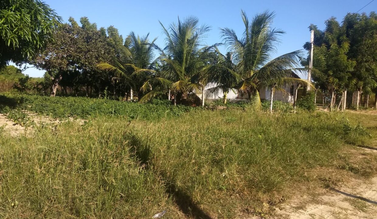 pq-alvorada-3